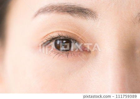 美麗女人的眼睛特寫 111759389