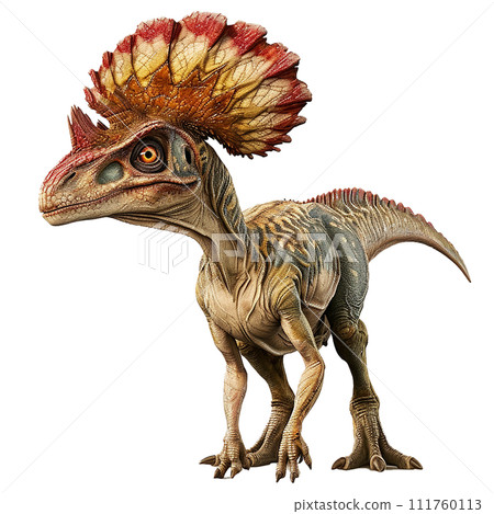 雙脊龍 No3-1 的圖像 111760113