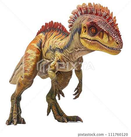 雙脊龍 No3-8 的圖像 雙脊龍 No3-8 的圖像 111760120