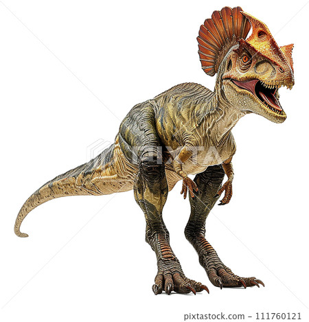 雙脊龍 No3-9 的圖像 雙脊龍 No3-9 的圖像 111760121