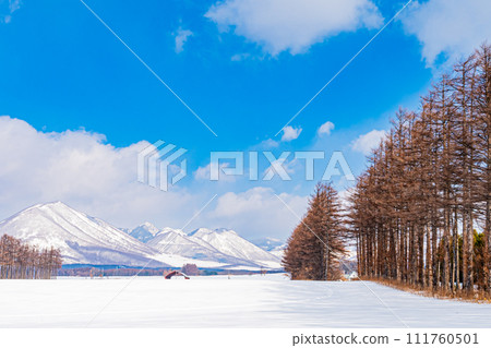 Winter scenery of Lake Shikaribetsu 111760501