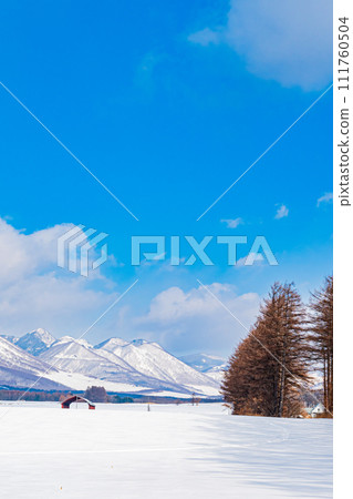 然別湖的冬季景色 然別湖的冬季景色 111760504