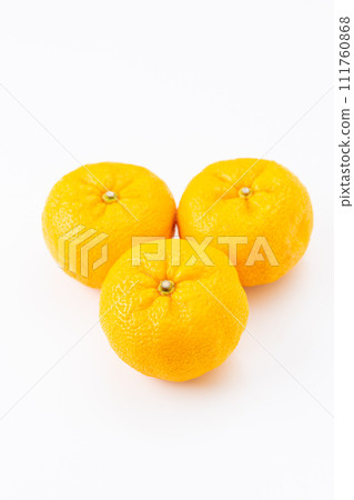 白柚 白柚 111760868