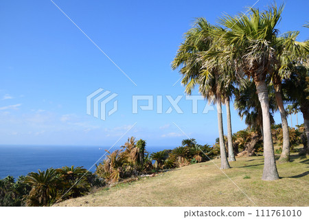 A view of Cape Toi 111761010