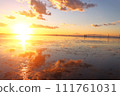 Sunset and Mount Fuji 111761031