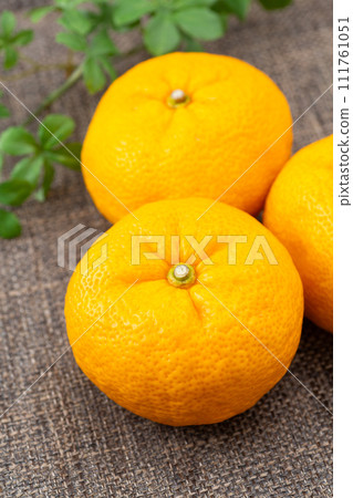 Yuzu on linen bag 111761051