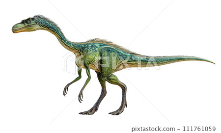 image of Coelophysis No2-4 111761059