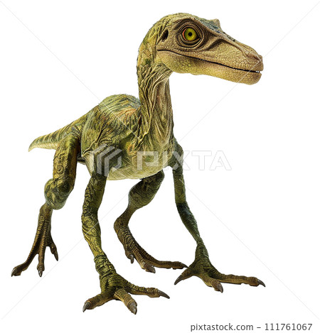 腔骨龍 No3-1 的影像 腔骨龍 No3-1 的影像 111761067