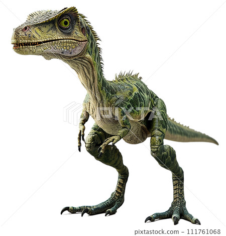 腔骨龍 No3-2 的影像 腔骨龍 No3-2 的影像 111761068