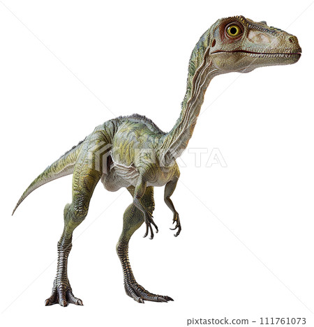 腔骨龍 No3-4 的影像 111761073