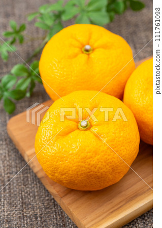 亞麻布袋上的柚子 亞麻布袋上的柚子 111761098