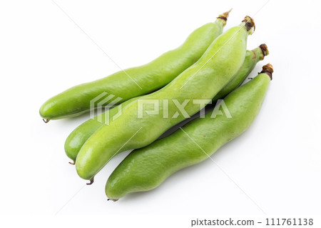 Broad beans on a white background 111761138