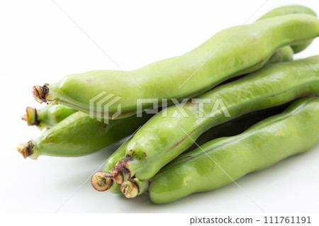 在白色背景上的素拉豆 在白色背景上的素拉豆 111761191