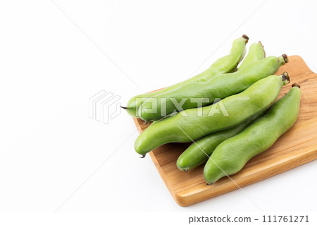 在白色背景上的素拉豆 111761271