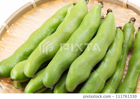 漏杓中白色背景的蠶豆 111761330