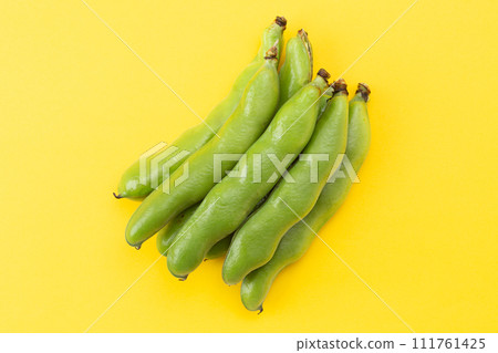 黃色背景上的蠶豆 111761425