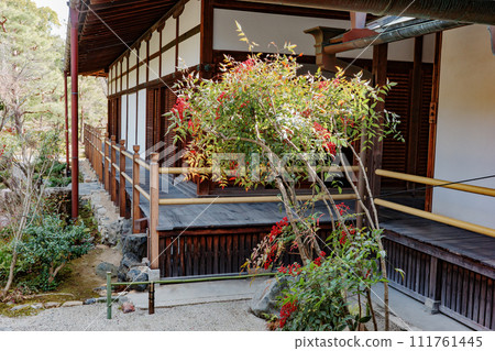 京都市北區東寺院的庭園及本堂 京都市北區東寺院的庭園及本堂 111761445
