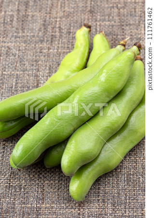 麻袋蠶豆 111761462