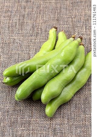 麻袋蠶豆 111761463