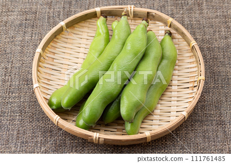 蠶豆裝在濾鍋的亞麻布袋中 111761485
