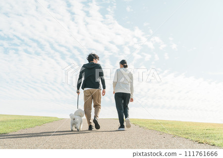 Rear view of a family, couple, man and woman walking their dog in the park 111761666
