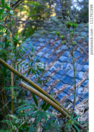 瓦頂廢墟、空房子、廢棄房屋 111761896