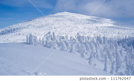 秋田縣隆冬的森吉山，樹木被霜覆蓋 111762047