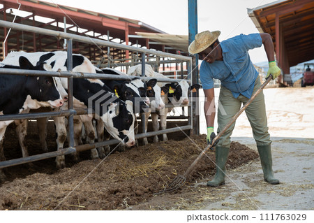 African male farmer in strow hat working in stall 111763029