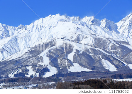 白馬村八方根滑雪場 111763062