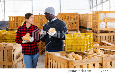 Man and woman farmers talking during stacking pumpkins Man and woman farmers talking during stacking pumpkins 111763320