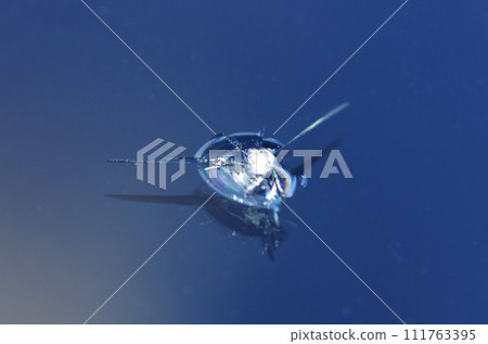 飛石造成擋風玻璃刮痕 111763395