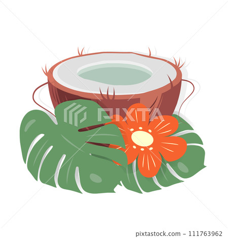 Half of fresh coconut with flower and monstera leaves in cartoon style in trendy bright shades 111763962