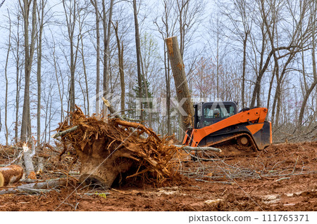 In preparation for construction of residential complex, excavators, tractors are uprooting trees In preparation for construction of residential complex, excavators, tractors are uprooting trees 111765371
