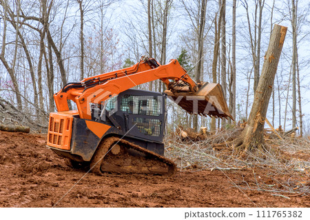 Excavators, tractors are uprooting trees for purpose of preparing site for residential construction 111765382