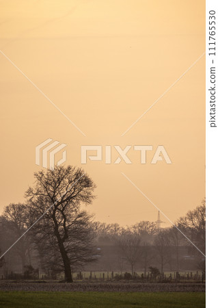 Tranquil Sunset Silhouettes in Countryside Tranquil Sunset Silhouettes in Countryside 111765530
