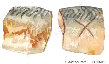 Watercolor mackerel stew in miso 111766082