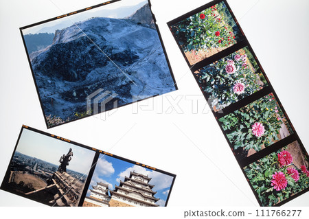 Silver halide photographic image: roll film and sheet film 111766277