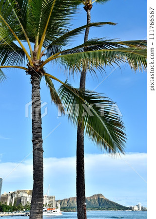 Holidays in Hawaii Holidays in Hawaii 111766567