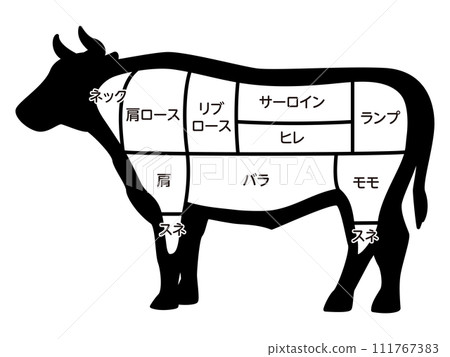 Illustration of cow parts Illustration of cow parts 111767383