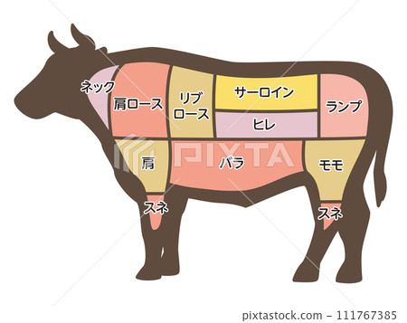 Illustration of cow parts Illustration of cow parts 111767385