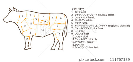 牛隻部位圖解 111767389