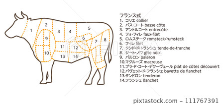 牛隻部位圖解 牛隻部位圖解 111767391