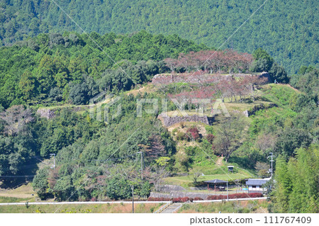 三重縣熊野市伊勢國赤城城遺址（赤城城公園）的石牆和弧形環 111767409