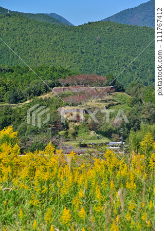三重縣熊野市伊勢國赤城城遺址(赤城城公園)的石牆和弧形環 三重縣熊野市伊勢國赤城城遺址(赤城城公園)的石牆和弧形環 111767412