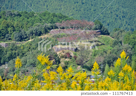 三重縣熊野市伊勢國赤城城遺址(赤城城公園)的石牆和弧形環 三重縣熊野市伊勢國赤城城遺址(赤城城公園)的石牆和弧形環 111767413