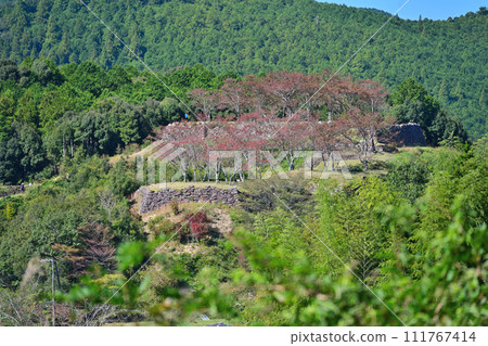 Stone walls and curved walls at Akagi Castle Ruins (Akagi Castle Park) in Ise Province, Kumano City, Mie Prefecture 111767414