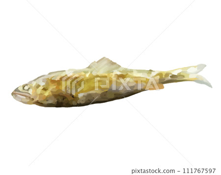 Salt-grilled sweetfish (1 fish) 111767597