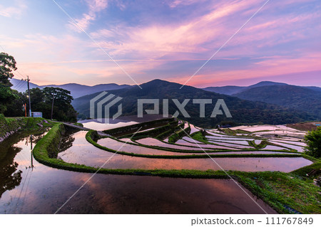 Onakao rice terraces, morning scenery filled with water at dawn [Nagasaki City] 111767849