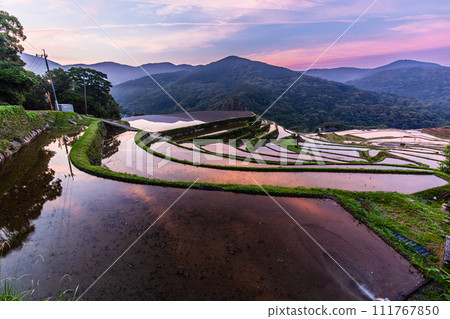 Onakao rice terraces, morning scenery filled with water at dawn [Nagasaki City] 111767850