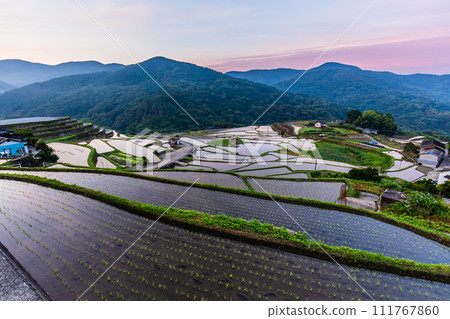 Onakao rice terraces, morning scenery filled with water at dawn [Nagasaki City] 111767860